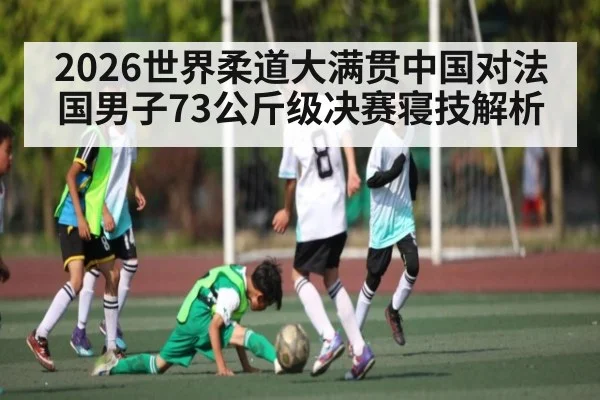 2026世界柔道大满贯中国对法国男子73公斤级决赛寝技解析