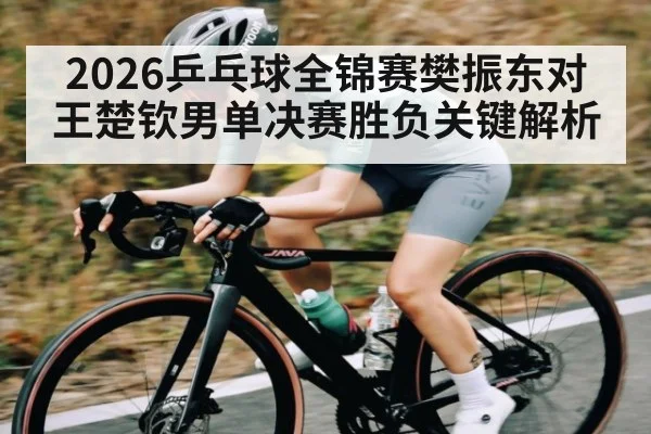 2026乒乓球全锦赛樊振东对王楚钦男单决赛胜负关键解析
